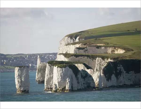 Chalk cliffs and sea stacks Harry Rocks near Studland Poole Harbour Dorset UK