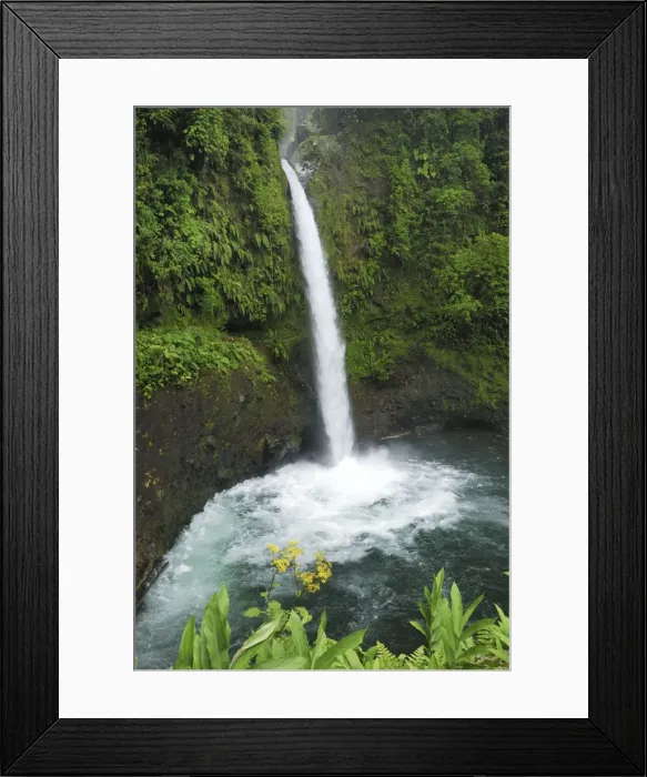 Framed Print : La Paz Waterfall Costa Rica Framed Print : La Paz Waterfall Costa Rica