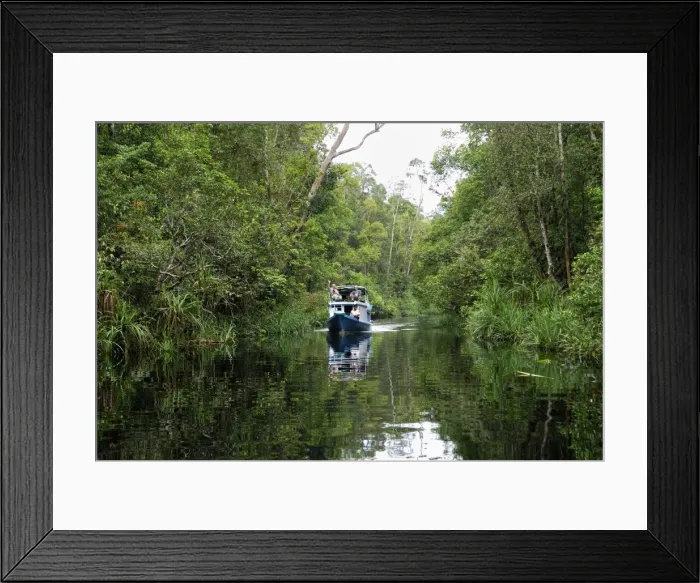 Framed Print : River with tourist boat at Tanjung Puting national park - Kalimantan / Borneo - Indonesia Framed Print : River with tourist boat at Tanjung Puting national park - Kalimantan / Borneo - Indonesia