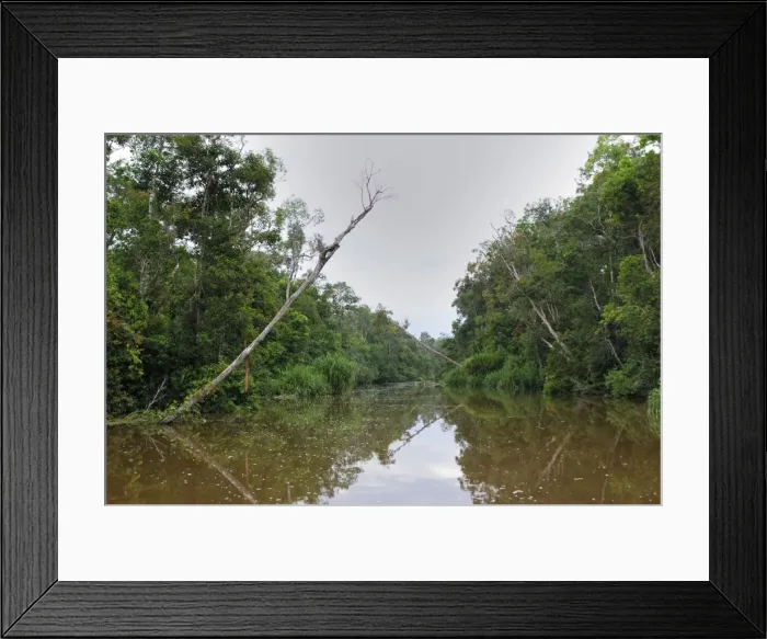 Framed Print : River at Tanjung Puting national park - Kalimantan / Borneo - Indonesia Framed Print : River at Tanjung Puting national park - Kalimantan / Borneo - Indonesia