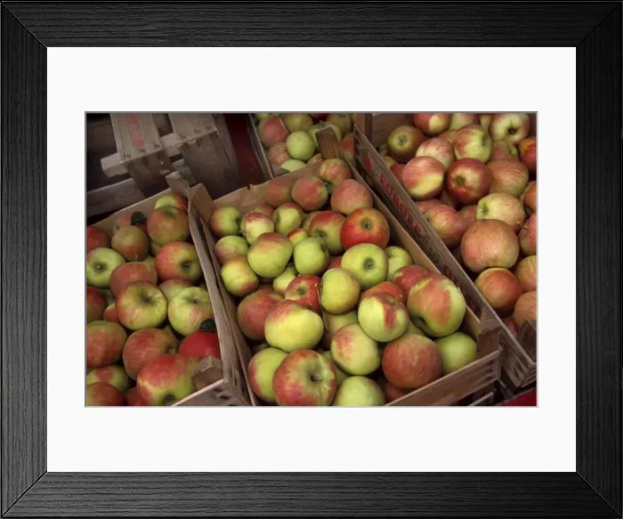 Framed Print : Apples in boxes - Jonagold St-Truiden, Belgium Framed Print : Apples in boxes - Jonagold St-Truiden, Belgium