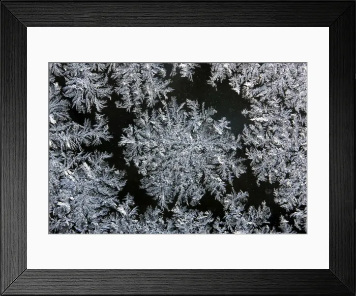 Framed Print : Iceflower - frostflower on window glass Framed Print : Iceflower - frostflower on window glass