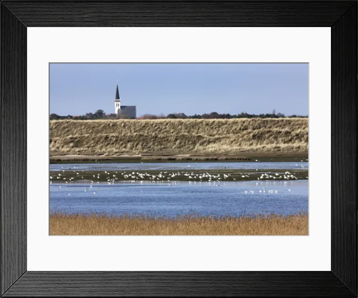 Framed Print : Nature reserve with resting birds - Texel - island - Netherlands Framed Print : Nature reserve with resting birds - Texel - island - Netherlands