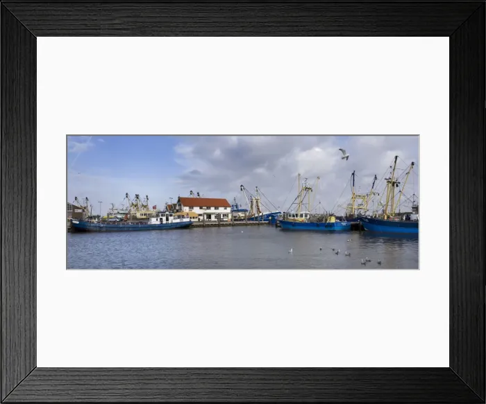 Framed Print : Harbour Oudeschild - Texel - island - Netherlands Framed Print : Harbour Oudeschild - Texel - island - Netherlands