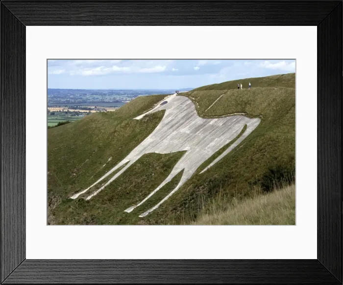 Framed Print : White Horse / Bratton White Horse - Westbury - Wiltshire - England Framed Print : White Horse / Bratton White Horse - Westbury - Wiltshire - England