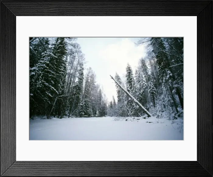 Framed Print : Russia Abakah Schusensky Wild Reserve, Siberia