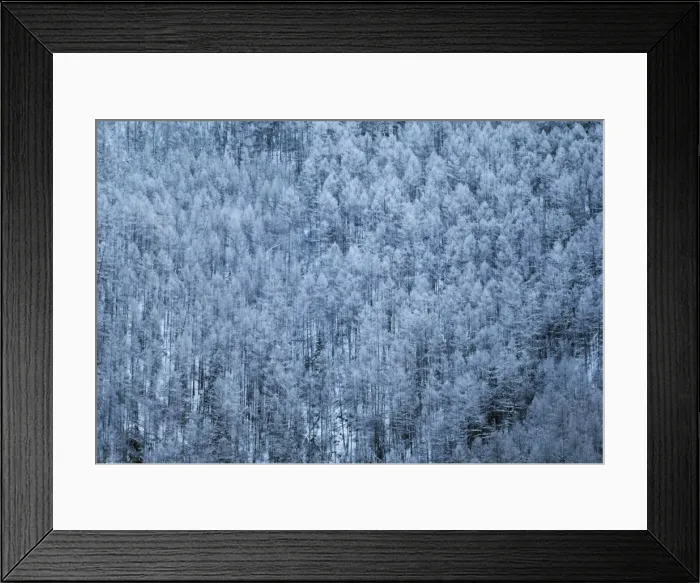 Framed Print : Russia Schusensky Wild Reserve, Abakah, Siberia