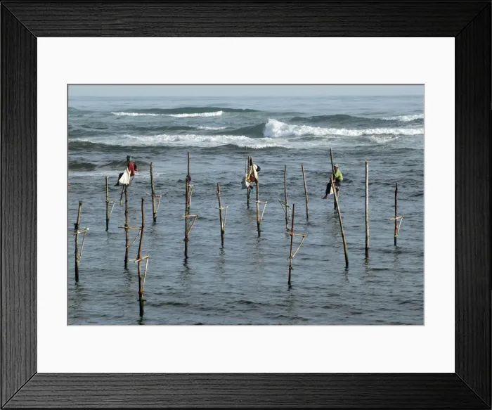 Framed Print : Stilt fishermen in southern Sri Lanka- perch here at auspicious states of the tide to catch or spear coastal fishes Framed Print : Stilt fishermen in southern Sri Lanka- perch here at auspicious states of the tide to catch or spear coastal fishes