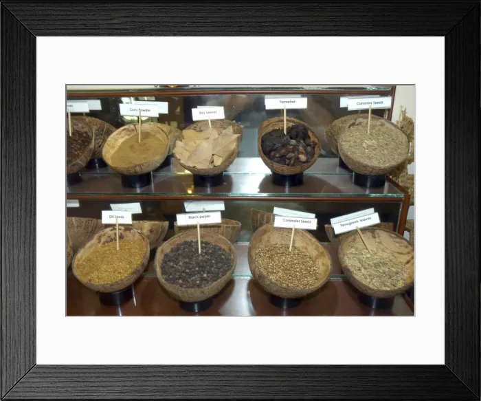 Framed Print : Tropical spices: selection displayed in coconut shells Framed Print : Tropical spices: selection displayed in coconut shells