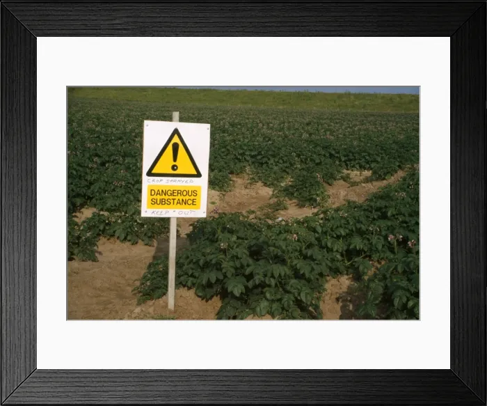 Framed Print : Farming - sign warning to keep out of field. Crops sprayed with dangerous substance Framed Print : Farming - sign warning to keep out of field. Crops sprayed with dangerous substance