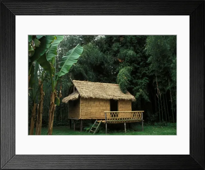 Framed Print : Bamboo house Typical laotian Framed Print : Bamboo house Typical laotian