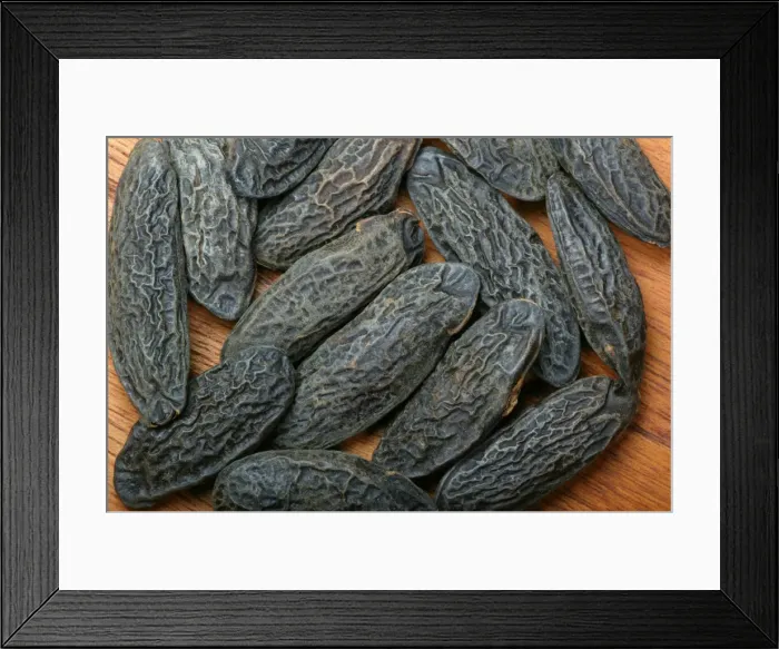 Framed Print : Tonka bean Framed Print : Tonka bean