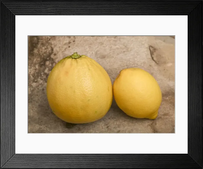 Framed Print : Bergamote and lemon (smaller) Framed Print : Bergamote and lemon (smaller)