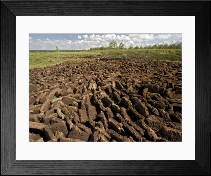 Framed Print : Peat bog nature reserve, near Zakopane; south Poland. Open-cast peat digging Framed Print : Peat bog nature reserve, near Zakopane; south Poland. Open-cast peat digging