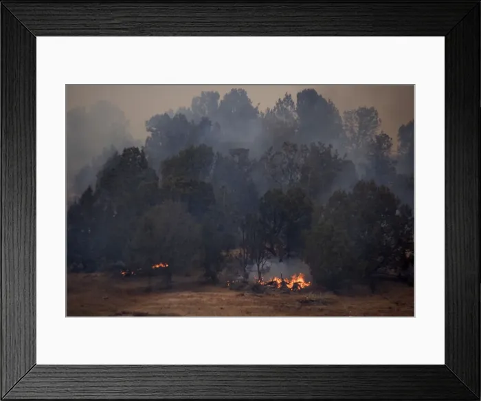 Framed Print : Forest fire, in open scrub / woodland with pines. Near Kanab, Utah Framed Print : Forest fire, in open scrub / woodland with pines. Near Kanab, Utah