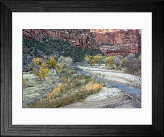 Framed Print : Zion National Park, Utah: Autumn along the Virgin River (North Fork), with cottonwoods Framed Print : Zion National Park, Utah: Autumn along the Virgin River (North Fork), with cottonwoods