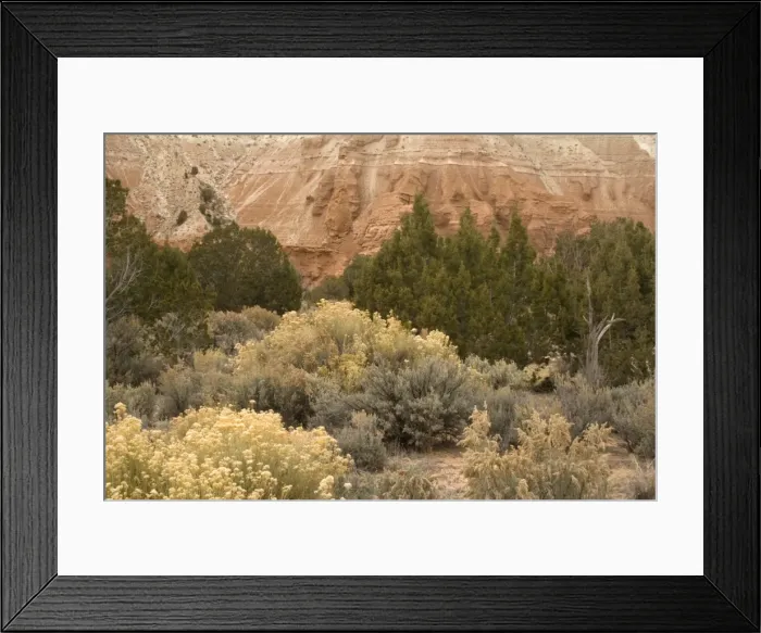 Framed Print : Sagebrush high desert land at Kodachrome Basin State Park, Utah Framed Print : Sagebrush high desert land at Kodachrome Basin State Park, Utah