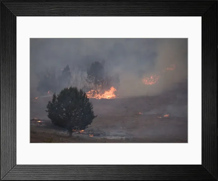 Framed Print : Forest fire, in open scrub / woodland with pines. Near Kanab, Utah Framed Print : Forest fire, in open scrub / woodland with pines. Near Kanab, Utah
