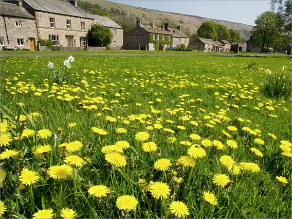 Village green at Arncliffe, Yorkshire Dales. Classic flowery village green. North Yorkshire
