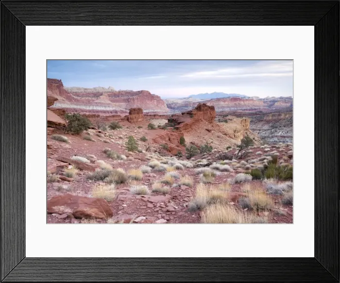 Framed Print : Early morning in the Capitol Reef National Park, looking towards the huge 65-million year old Waterpocket Fold. Utah, USA Framed Print : Early morning in the Capitol Reef National Park, looking towards the huge 65-million year old Waterpocket Fold. Utah, USA