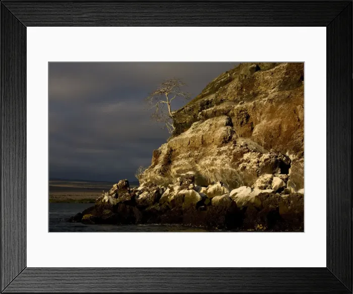 Framed Print : Seabird colonies on the Mariellas islands, evening light, off Isabela, Galapagos; with Palo Santo tree Framed Print : Seabird colonies on the Mariellas islands, evening light, off Isabela, Galapagos; with Palo Santo tree