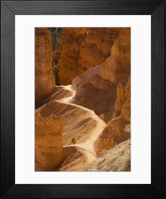 Framed Print : Bryce Canyon: trail down into canyon from Sunrise Point. Utah, USA Framed Print : Bryce Canyon: trail down into canyon from Sunrise Point. Utah, USA
