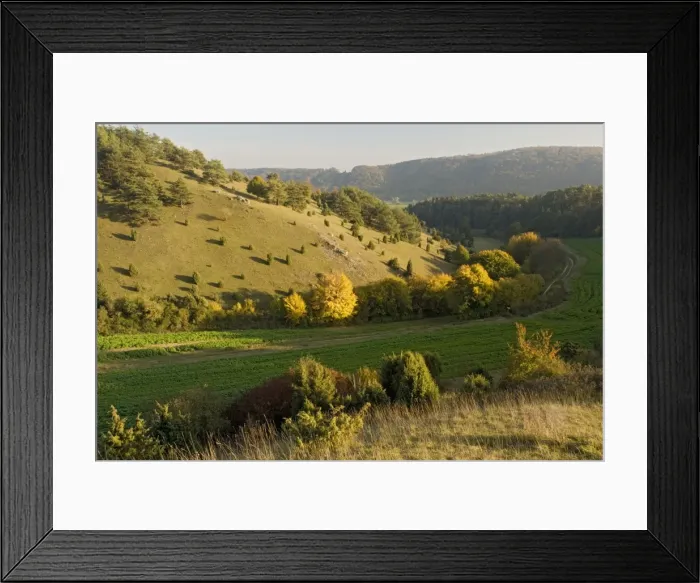 Framed Print : The Altmuhltal Naturpark, Germany. Limestone grassland Framed Print : The Altmuhltal Naturpark, Germany. Limestone grassland