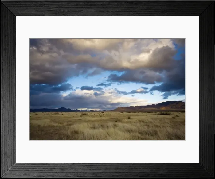 Framed Print : Grasslands and mountains near Portal on the Arizona-New Mexico border on a stormy winter evening Framed Print : Grasslands and mountains near Portal on the Arizona-New Mexico border on a stormy winter evening
