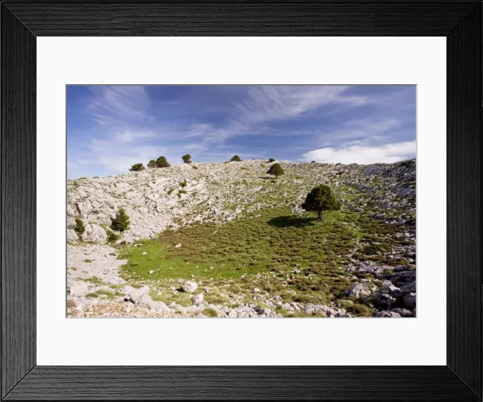 Framed Print : Karst limestone scenery, with greek firs, at about 1700m in Mount Parnassus National Park Framed Print : Karst limestone scenery, with greek firs, at about 1700m in Mount Parnassus National Park