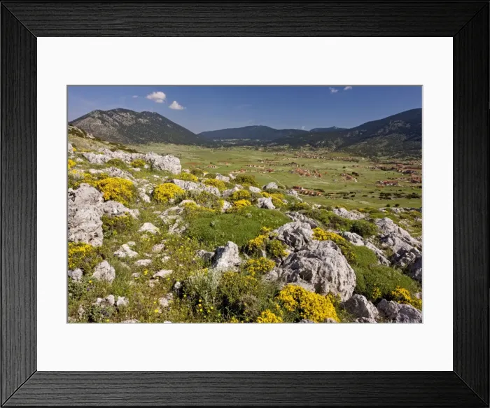 Framed Print : Mount Parnassus: view across the plateau showing new development; on the edge of Mount Parnassus National Park, Greece Framed Print : Mount Parnassus: view across the plateau showing new development; on the edge of Mount Parnassus National Park, Greece