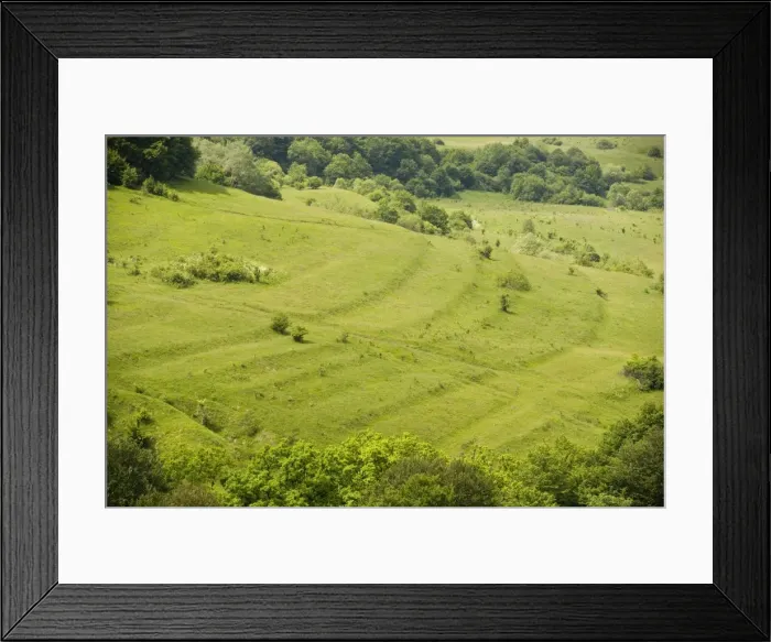Framed Print : Species-rich hillside with old cultivation terraces above roadside cafe near Mihai Viteazu. Romania Framed Print : Species-rich hillside with old cultivation terraces above roadside cafe near Mihai Viteazu. Romania