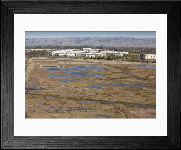 Framed Print : Saltmarsh, pools and lagoons at Don Edwards San Francisco Bay National Wildlife Refuge, California, United States Framed Print : Saltmarsh, pools and lagoons at Don Edwards San Francisco Bay National Wildlife Refuge, California, United States