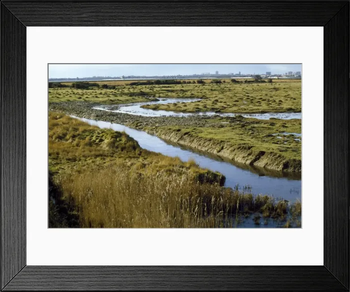 Framed Print : Farlington Marshes Langstone Harbour, Hampshire, UK Framed Print : Farlington Marshes Langstone Harbour, Hampshire, UK