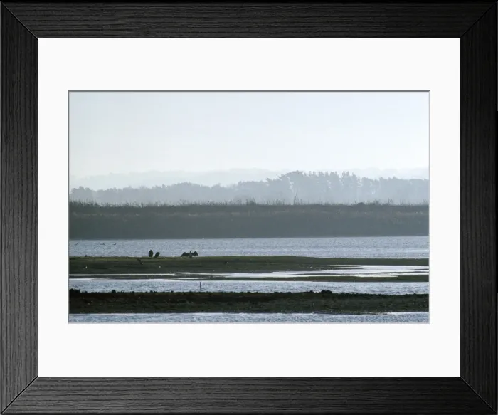Framed Print : Titchwell Nature Reserve (RSPB) - with Cormorants - Norfolk UK Framed Print : Titchwell Nature Reserve (RSPB) - with Cormorants - Norfolk UK