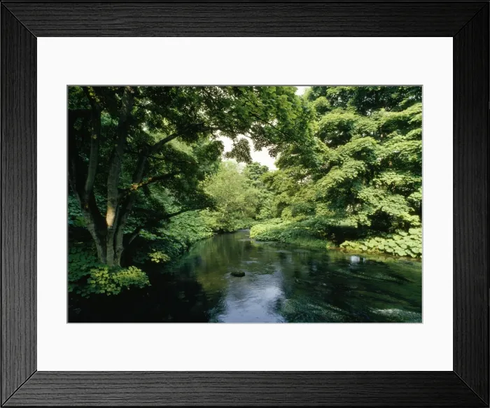 Framed Print : River Wye Miller's Dale, Peak District, UK Framed Print : River Wye Miller's Dale, Peak District, UK