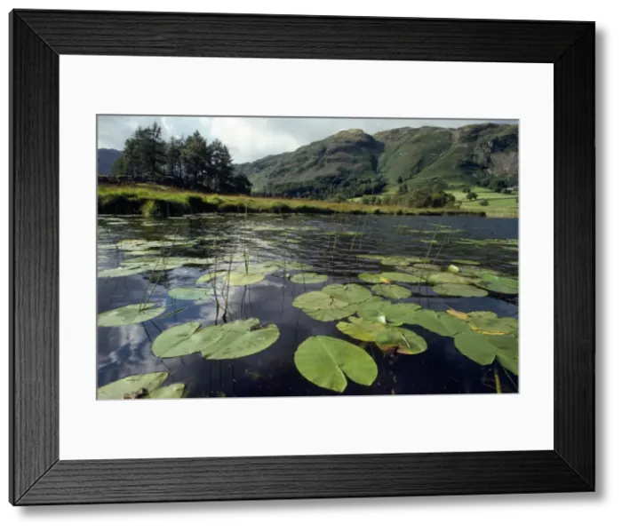 Framed Print : Lake District - Little Langdale Tarn Cumbria, UK Framed Print : Lake District - Little Langdale Tarn Cumbria, UK