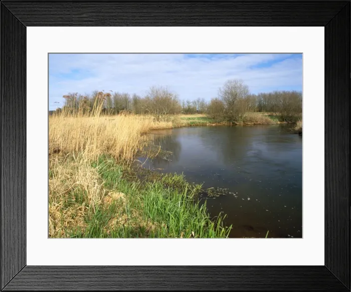 Framed Print : East Stoke Fen - & river Frome - South Dorset UK Framed Print : East Stoke Fen - & river Frome - South Dorset UK