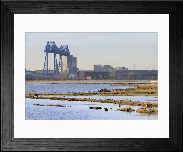 Framed Print : Saltholme Reserve - RSPB wildlife and nature reserve - Cleveland - UK 0310_0431 Framed Print : Saltholme Reserve - RSPB wildlife and nature reserve - Cleveland - UK 0310_0431