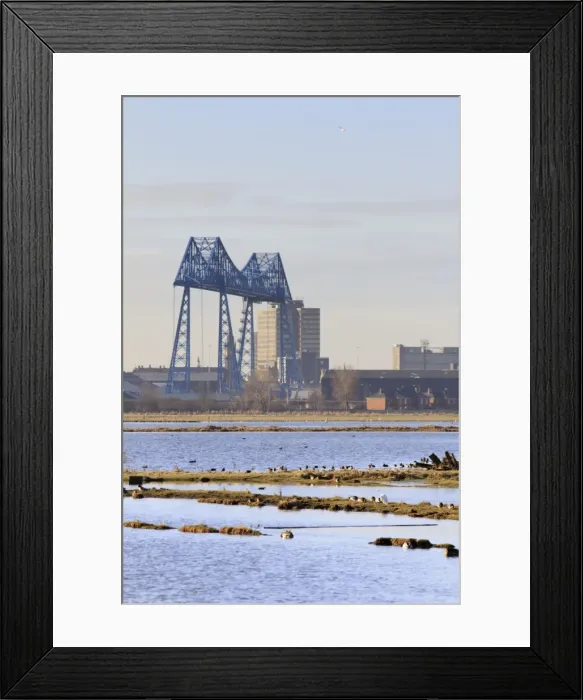 Framed Print : Saltholme Reserve - RSPB wildlife and nature reserve - View across reserve pools with wetland birds and Middlesbrough transporter bridge - Cleveland - UK 0310_0432 Framed Print : Saltholme Reserve - RSPB wildlife and nature reserve - View across reserve pools with wetland birds and Middlesbrough transporter bridge - Cleveland - UK 0310_0432