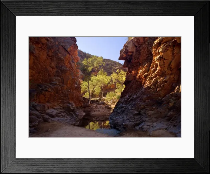 Framed Print : Serpentine Gorge - towering red cliffs at the entrance of Serpentinge Gorge and a semi-permanent waterhole. The floor of the gorge is lined with gum trees backlighted by the sun - West MacDonnell National Park, Northern Territory, Australia Framed Print : Serpentine Gorge - towering red cliffs at the entrance of Serpentinge Gorge and a semi-permanent waterhole. The floor of the gorge is lined with gum trees backlighted by the sun - West MacDonnell National Park, Northern Territory, Australia