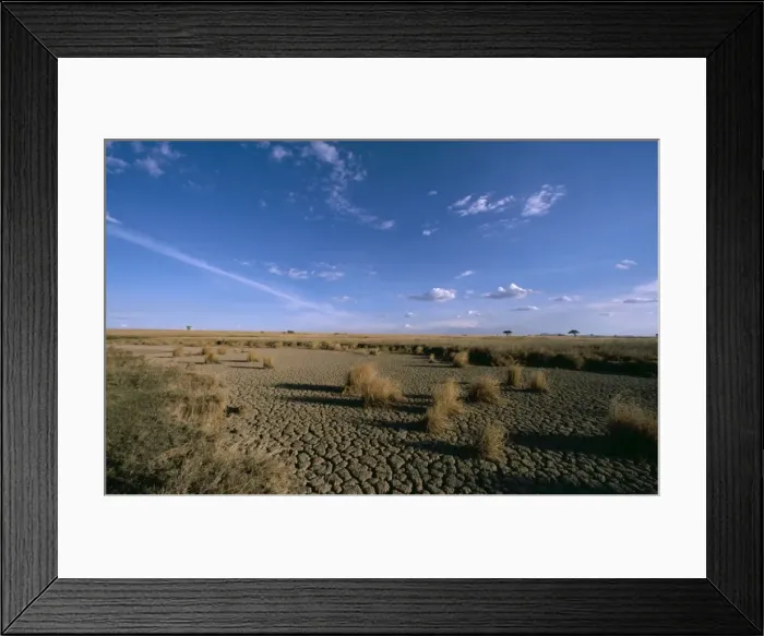 Framed Print : Serengeti National Park RS 48 Dried up soak, Tanzania © Robyn Stewart / ARDEA LONDON Framed Print : Serengeti National Park RS 48 Dried up soak, Tanzania © Robyn Stewart / ARDEA LONDON