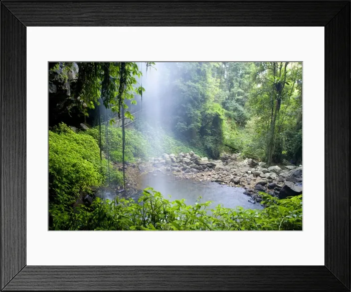 Framed Print : Crystal Shower Falls - very beautiful and enchanting waterfall located within lush subtropical rainforest. The water rushes over a densely overgrown cliff in a narrow gorge and one can walk behind the veil, which is quite unique Framed Print : Crystal Shower Falls - very beautiful and enchanting waterfall located within lush subtropical rainforest. The water rushes over a densely overgrown cliff in a narrow gorge and one can walk behind the veil, which is quite unique
