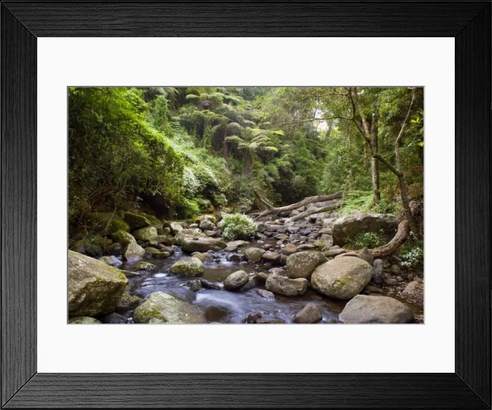 Framed Print : Cascades in rainforest - an idyllic creek cascades over boulders down a beautiful gorge in lush subtropical rainforest - Lamington National Park, Central Eastern Australian Rainforest World Heritage Area, Queensland, Australia Framed Print : Cascades in rainforest - an idyllic creek cascades over boulders down a beautiful gorge in lush subtropical rainforest - Lamington National Park, Central Eastern Australian Rainforest World Heritage Area, Queensland, Australia