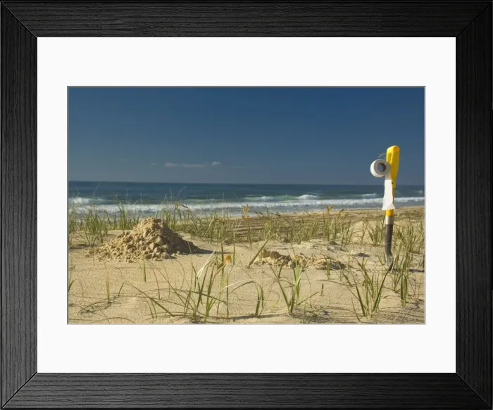 Framed Print : Bush toilet at the beach - while beach camping on Fraser Island, one must make his own bush toilet, because there are no facilities, whatseover. This toilet consists basically of a hole in the sand Framed Print : Bush toilet at the beach - while beach camping on Fraser Island, one must make his own bush toilet, because there are no facilities, whatseover. This toilet consists basically of a hole in the sand