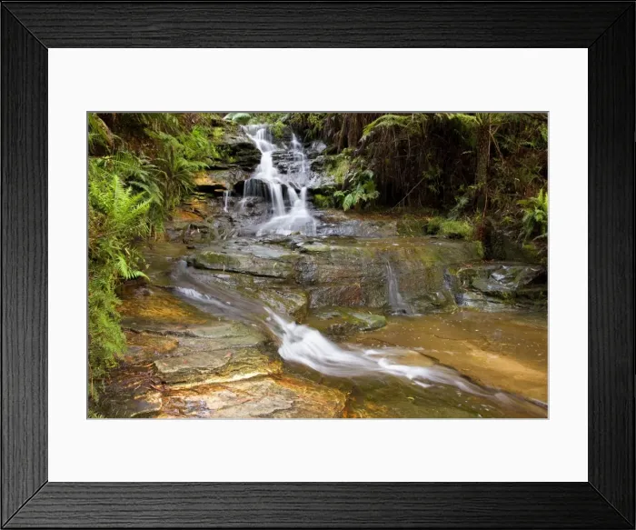Framed Print : Leura cascades - beautiful waterfall rushes down over moss-covered rocks, surrounded by lush vegetation of mostly ferns - Leura Cascades, Blue Mountains National Park, New South Wales, Australia Framed Print : Leura cascades - beautiful waterfall rushes down over moss-covered rocks, surrounded by lush vegetation of mostly ferns - Leura Cascades, Blue Mountains National Park, New South Wales, Australia