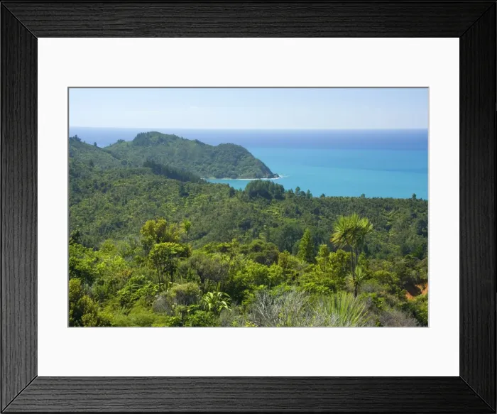 Framed Print : Coromandel Coastline dense coastal bush vegetation grows right to the shoreline. This is habitat for the Kiwi, the endangered national icon of New Zealand. Coromandel Peninsula, North Island, New Zealand Framed Print : Coromandel Coastline dense coastal bush vegetation grows right to the shoreline. This is habitat for the Kiwi, the endangered national icon of New Zealand. Coromandel Peninsula, North Island, New Zealand