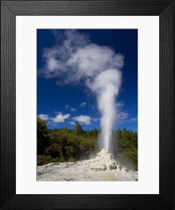Framed Print : Lady Knox Geyser erupting Geyser spewing water and steam in the blue sky Waiotapu Thermal Area, Rotorua, North Island, New Zealand Framed Print : Lady Knox Geyser erupting Geyser spewing water and steam in the blue sky Waiotapu Thermal Area, Rotorua, North Island, New Zealand