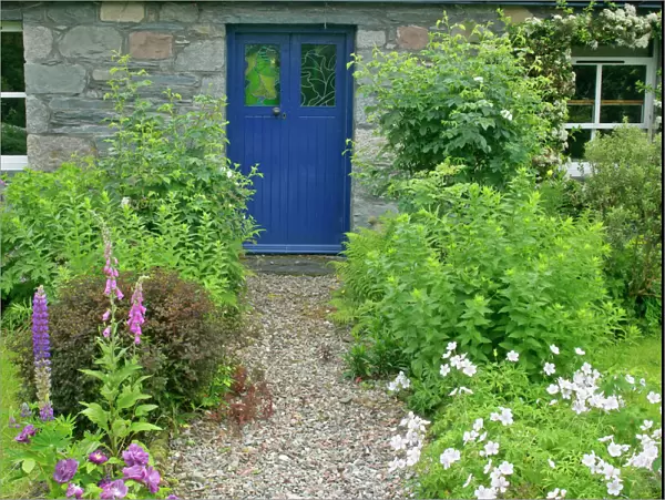 Cottage Garden in spring with path leading to front door Glencoe, Highlands, Scotland, UK
