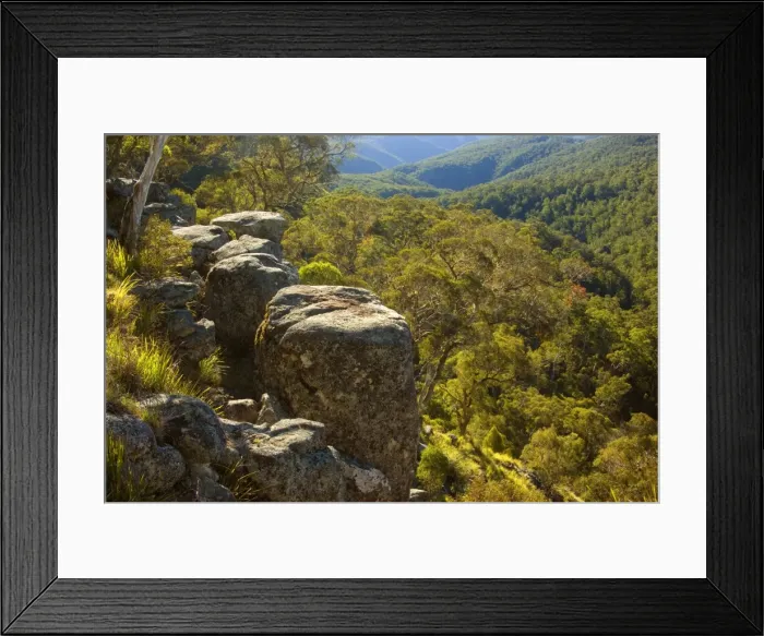 Framed Print : Rocks and forest - from the rim around Ebor Falls, one has a nice few over rocky outcrops and the endless eucalypt forests of Guy Fawkes River National Park. Late evening - Guy Fawkes River National Park, New South Wales, Australia Framed Print : Rocks and forest - from the rim around Ebor Falls, one has a nice few over rocky outcrops and the endless eucalypt forests of Guy Fawkes River National Park. Late evening - Guy Fawkes River National Park, New South Wales, Australia
