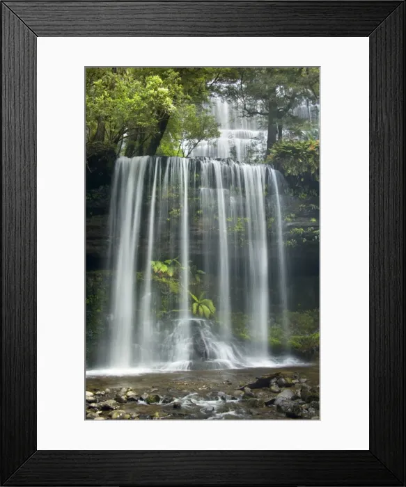 Framed Print : Russell Falls - stunning waterfall amidst lush temperate rainforest - Mount Field National Park, Tasmania, Australia Framed Print : Russell Falls - stunning waterfall amidst lush temperate rainforest - Mount Field National Park, Tasmania, Australia
